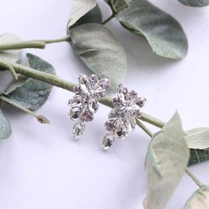 ❣️HP❣️Cluster Earrings